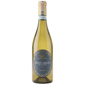 IT Antica Vigna Pinot Grigio delle Venezie DOC