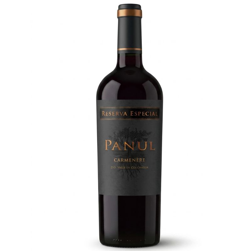 CH Marchigüe Panul Reserva Especial Oak Carmenère